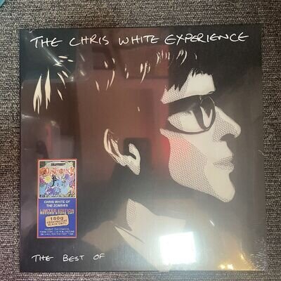 CHRIS WHITE EXPERIENCE BEST OF (RSD 2024) VINYL LP THE ZOMBIES