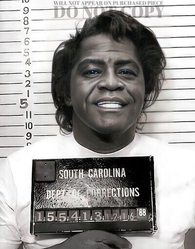 James Brown Mugshot 8 X 10 - Stunning 1988 South Carolina Mug Shot - Poster Art