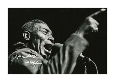 Howlin Wolf 1 A4 reproduction autograph photograph poster with choice of frame