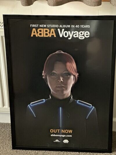 Frida Voyage Promo Poster