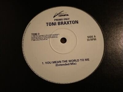 Toni Braxton - You Mean The World To Me - 12" vinyl