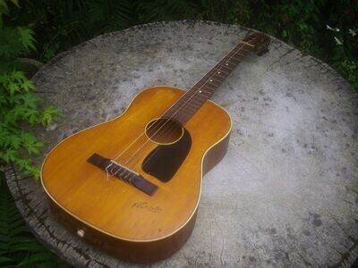 FLORIDA PARLOUR VINTAGE ACOUSTIC PROJECT-MADE IN GERMANY - VINTAGE - -FREE P&P