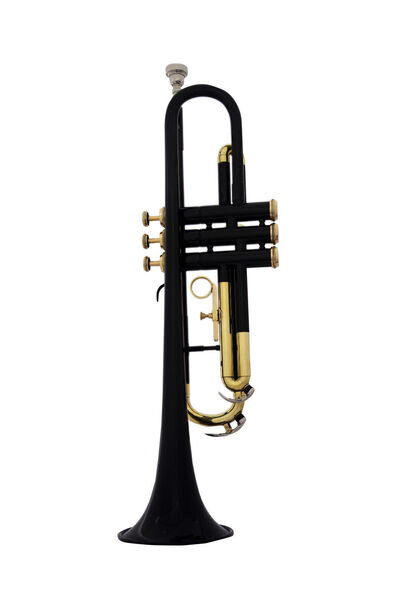 Trumpet NEW ELEGANT DELUXE BLACK BRASS COLOUR STUDENT Bb TRUMPET FREE CASE+M/P