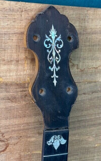 Vintage Vega Banjo Whyte Laydie Banjeaurine neck only