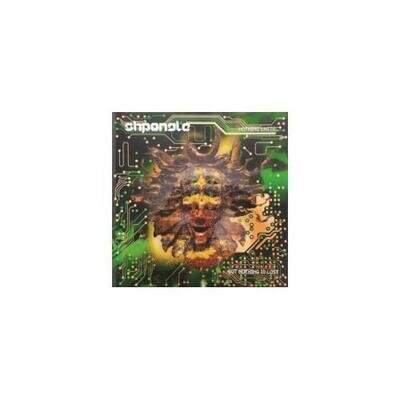 SHPONGLE: NOTHING LASTS BUT NOTHING IS LOST - LP vinyl *BRAND NEW*