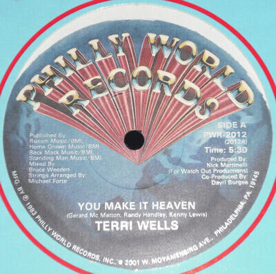 Terri Wells - You Make It Heaven (12")