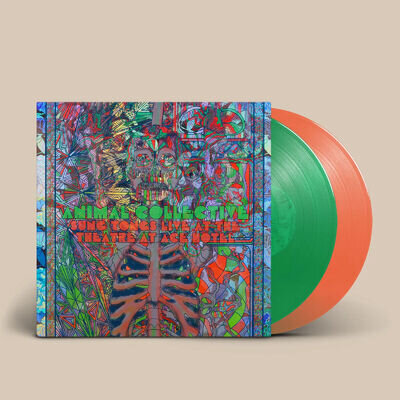 Pre Sale: 2024-10-04 | Animal Collective | Orange 2xVinyl LP |