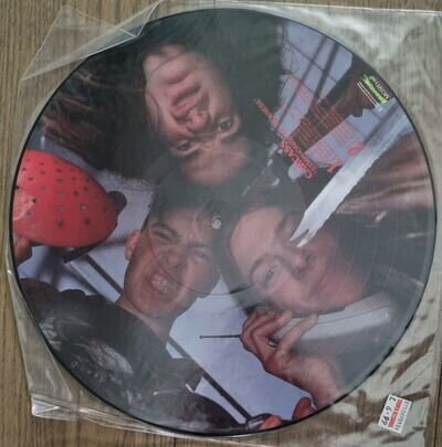 Carcass Symphonies of Sickness Vinyl Picture Disc