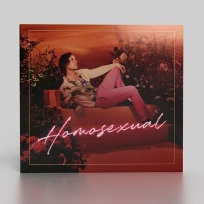 Homosexual Darren Hayes (Powdered Sugar Productions Ltd) Vinyl 12" lp