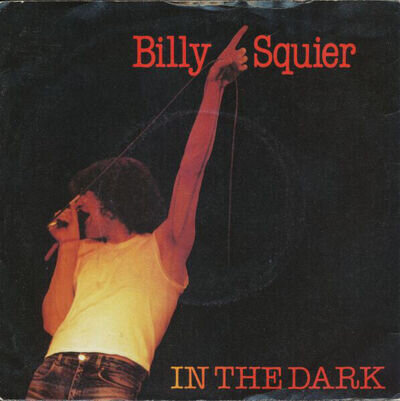 Billy Squier - In The Dark - Used Vinyl Record 7 - P8100z