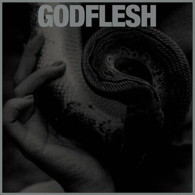 Godflesh - Purge (NEW VINYL LP)