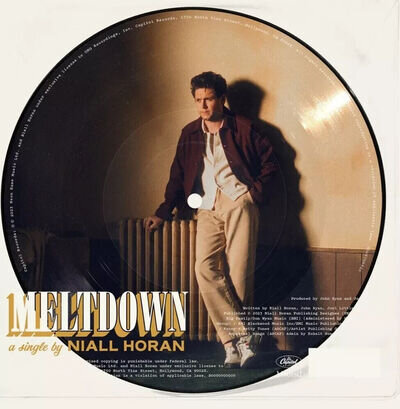 Niall Horan - Meltdown - 7” Picture Disc Vinyl Record One Direction