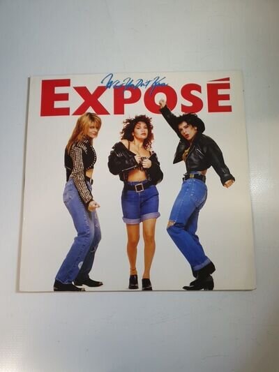 Vintage Exposé "What You Don't Know" Vinyl Lp (1989)