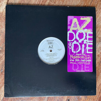 AZ - DOE OR DIE feat RAEKWON - THE RZA REMIXES NEW / MINT VINYL / RARE PROMO