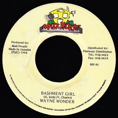 Wayne Wonder - Bashment Girl (7")