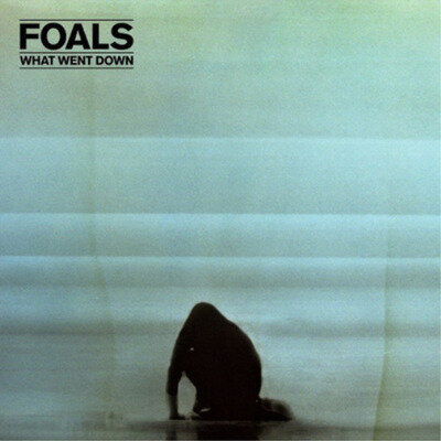 Foals What Went Down (Vinyl) 12" Album