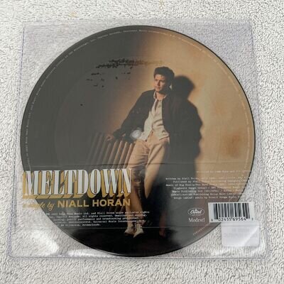 Niall Horan - Meltdown 7” PICTURE DISC Vinyl Record 1D - One Direction