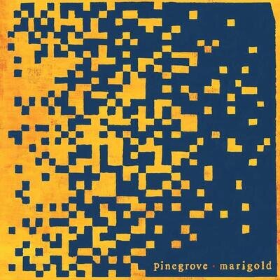 Pinegrove Marigold (Vinyl)