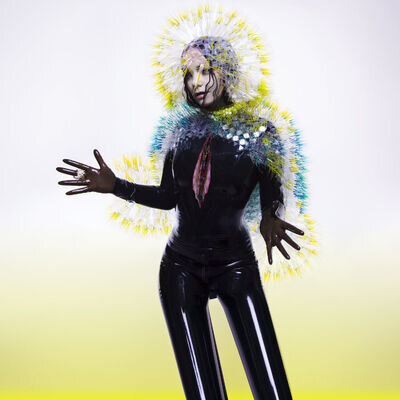 Björk Vulnicura (Vinyl) 12" Album Coloured Vinyl (Limited Edition)