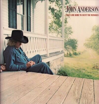 John Anderson I Just Came Home To Count the Memories LP vinyl USA Warner Bros