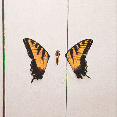 Paramore Brand New Eyes (Vinyl) 12" Album