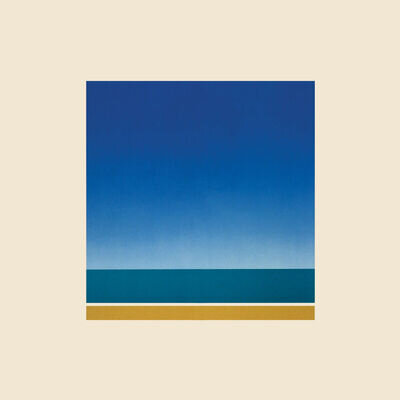 Metronomy | Black Vinyl LP | The English Riviera (Instrumentals)