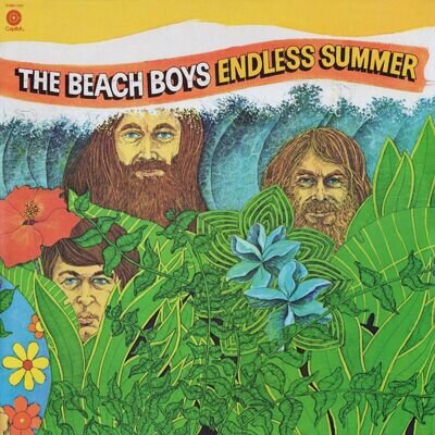 The BEACH BOYS Endless Summer BANNER HUGE 4X4 Ft Fabric Poster Tapestry Flag art