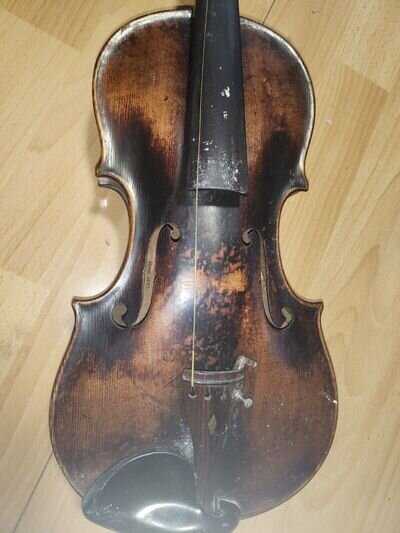 Violin