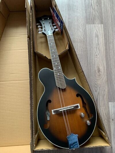 8 string Mandolin,Tanglewood,TWMFVSE Electro Acoustic, Vintage Sunburst.rrp £349