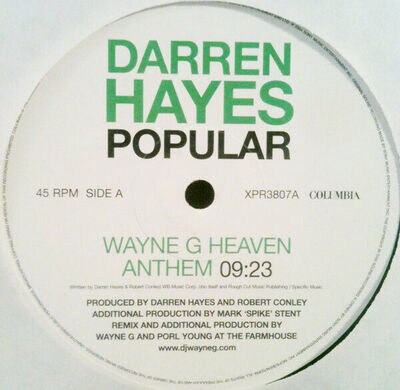 Darren Hayes - Popular - Used Vinyl Record 12 - Promo - P6999z