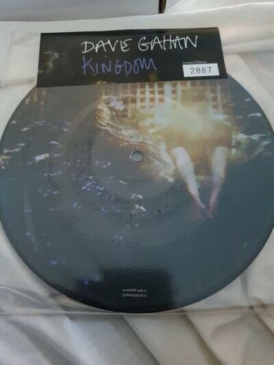 Dave Gahan Kingdom Picture Disc 7" NEW SEALED NO 2887