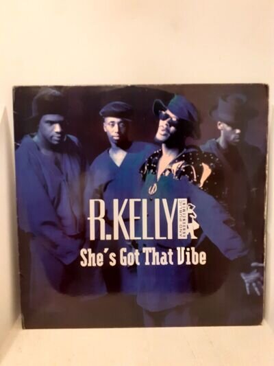 R Kelly - Shes got that vibe 12" Vinyl Record