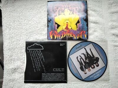 3 the cult vinyl wildflower double pack rain wildflower pitcure disc