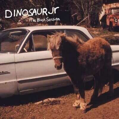 Dinosaur Jr - THE BLACK SESSION - LIVE IN PARIS 1993 12" VINYL EDITION [VINYL]