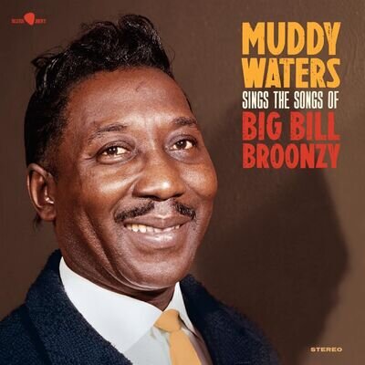 Sings Big Bill [VINYL], Muddy Waters, lp_record, New, FREE & FAST Delivery