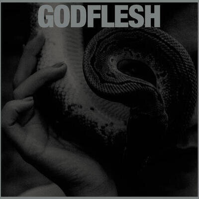 Godflesh : Purge VINYL 12" Album (2023) ***NEW*** FREE Shipping, Save £s