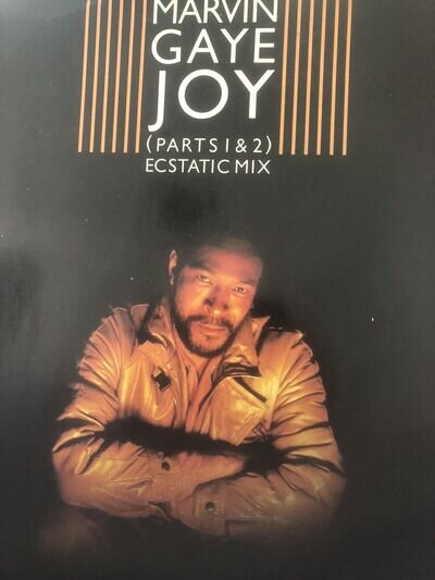 Marvin Gaye 12 Vinyl Joy Ecstatic Mix