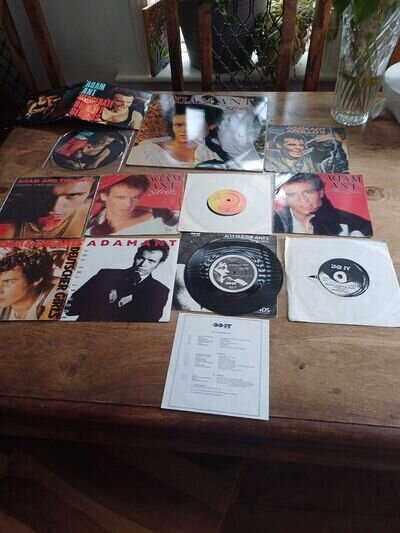 Adam And The Ants Job Lot vinyl records strip 7 single one album strip pic disc