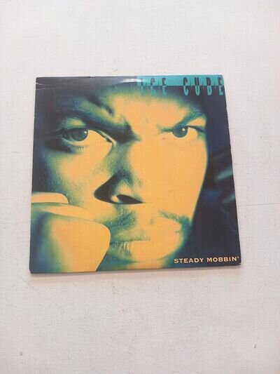 Ice Cube Steady Mobbin 7 Inch Vinyl Record 1991