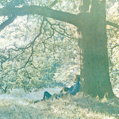 Yoko Ono Yoko Ono/Plastic Ono Band (Vinyl) 12" Album