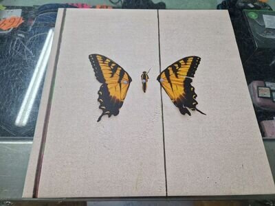 Brand New Eyes by Paramore (Vinyl, 2009, Fueled By Ramen)