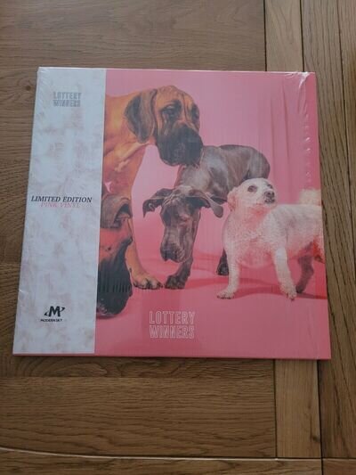 The Lottery Winners by The Lottery Winners Limited Edition Pink Vinyl