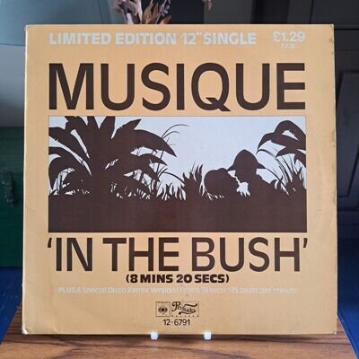 Musique - In The Bush 12"