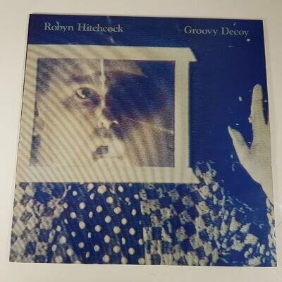 Robyn Hitchcock - Groovy Decoy - Vinyl LP UK 1985 Press EX+/NM Soft Boys