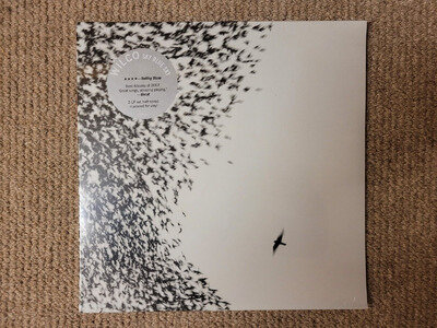 Wilco 12 inch vinyl 2-Lp - Sky Blue Sky (new, sealed)