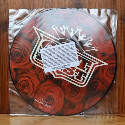 Outkast - Roses 12" Picture Disc - Single Sided Promo Vinyl 2004 NM/VG+