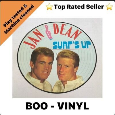 Jan & Dean - Surf's Up 1986 Picture Disc Excellent Condition LP Vinyl