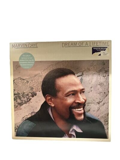 Marvin Gaye -Dream of a Lifetime - Vinyl Record LP