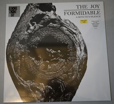 The Joy Formidable - A Minute's Silence - RSD SEALED Vinyl 2013 Badlands Bruce