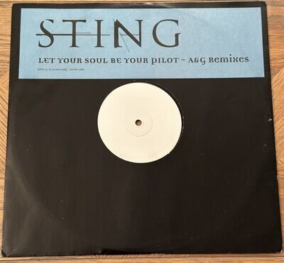 Sting - Let Your Soul Be Your Pilot- A & G Remixes - White Label Promo 12”